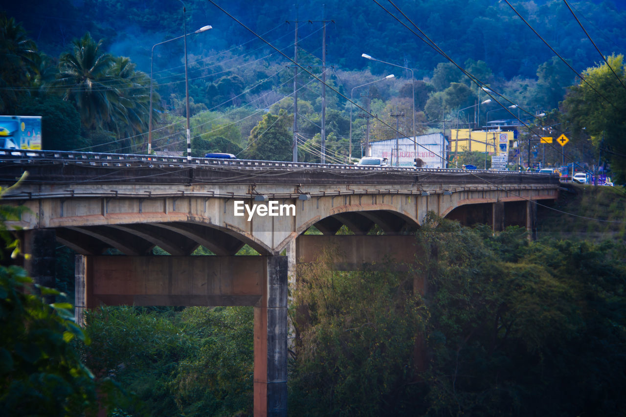 BRIDGE BY TREES AGAINST PLANTS