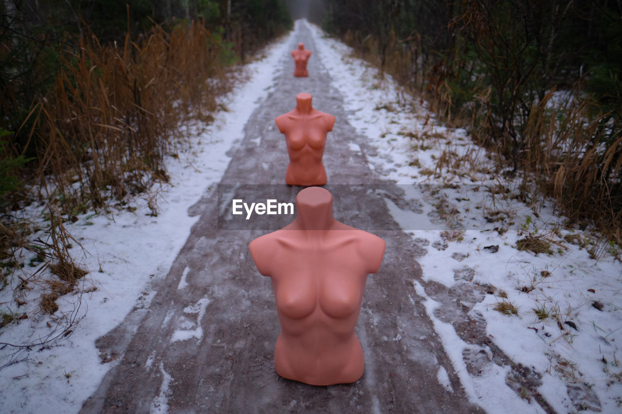 CROPPED IMAGE OF PERSON WITH SNOW COVERED FOOTPATH