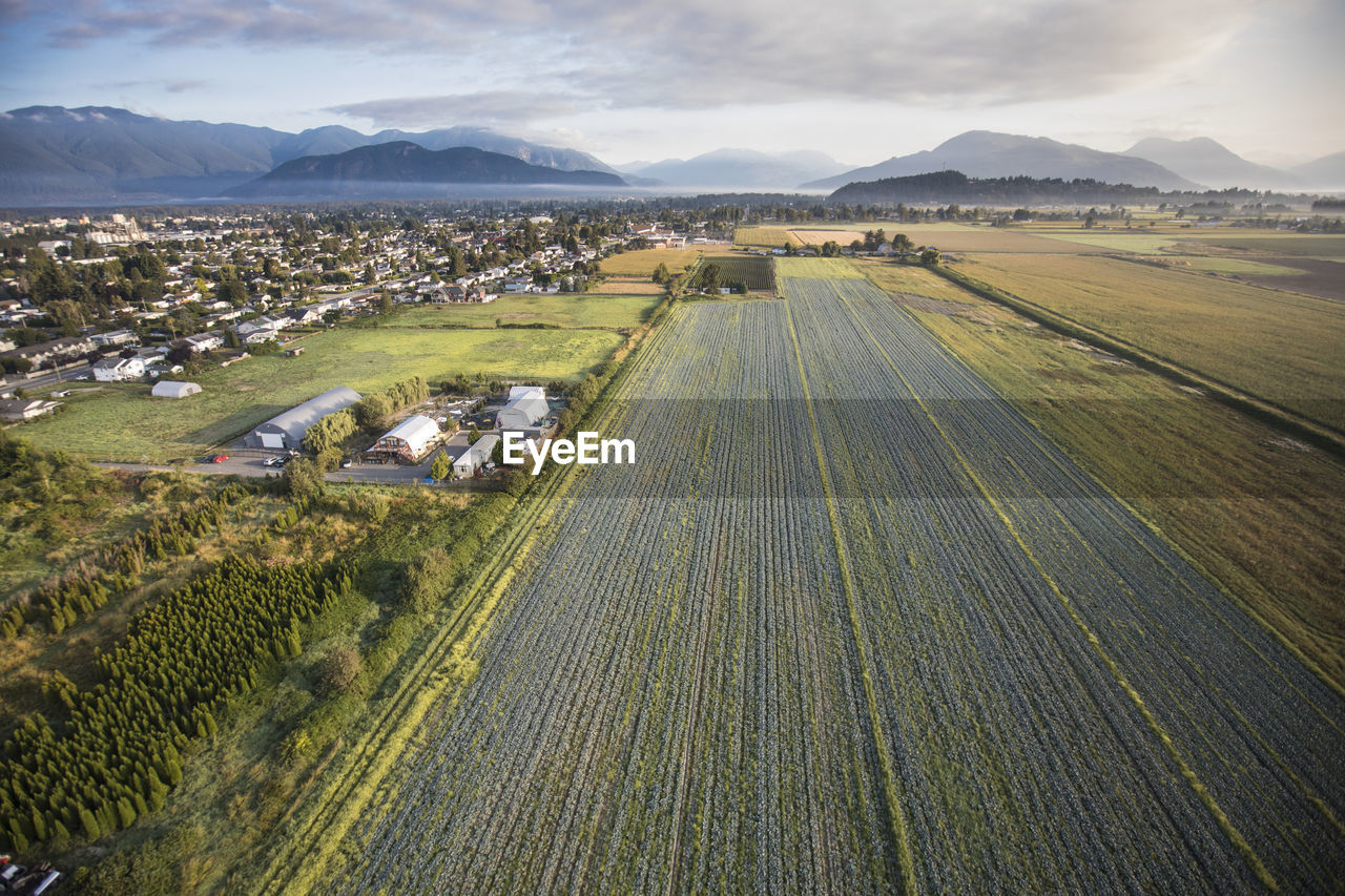 Aerial view of farm fields in chilliwack, british columbia.