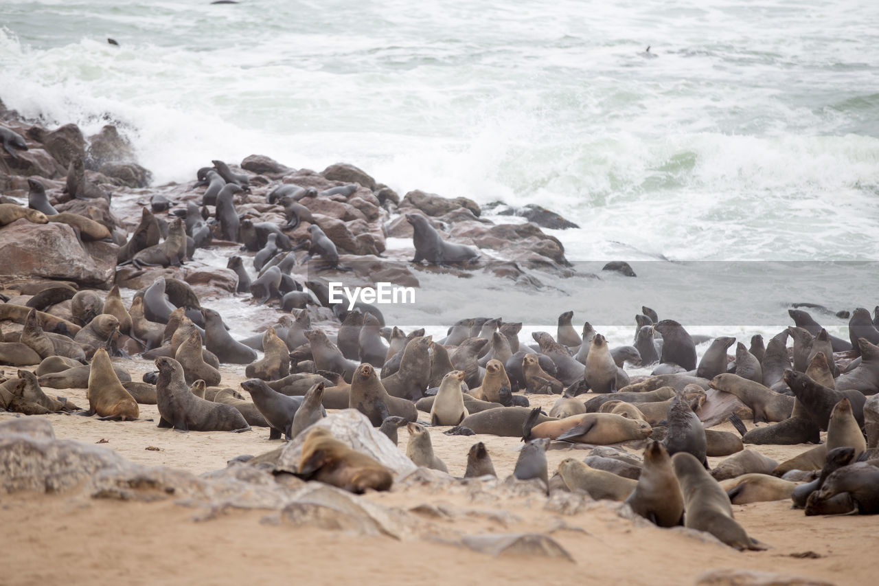 High angle view of seas on beach