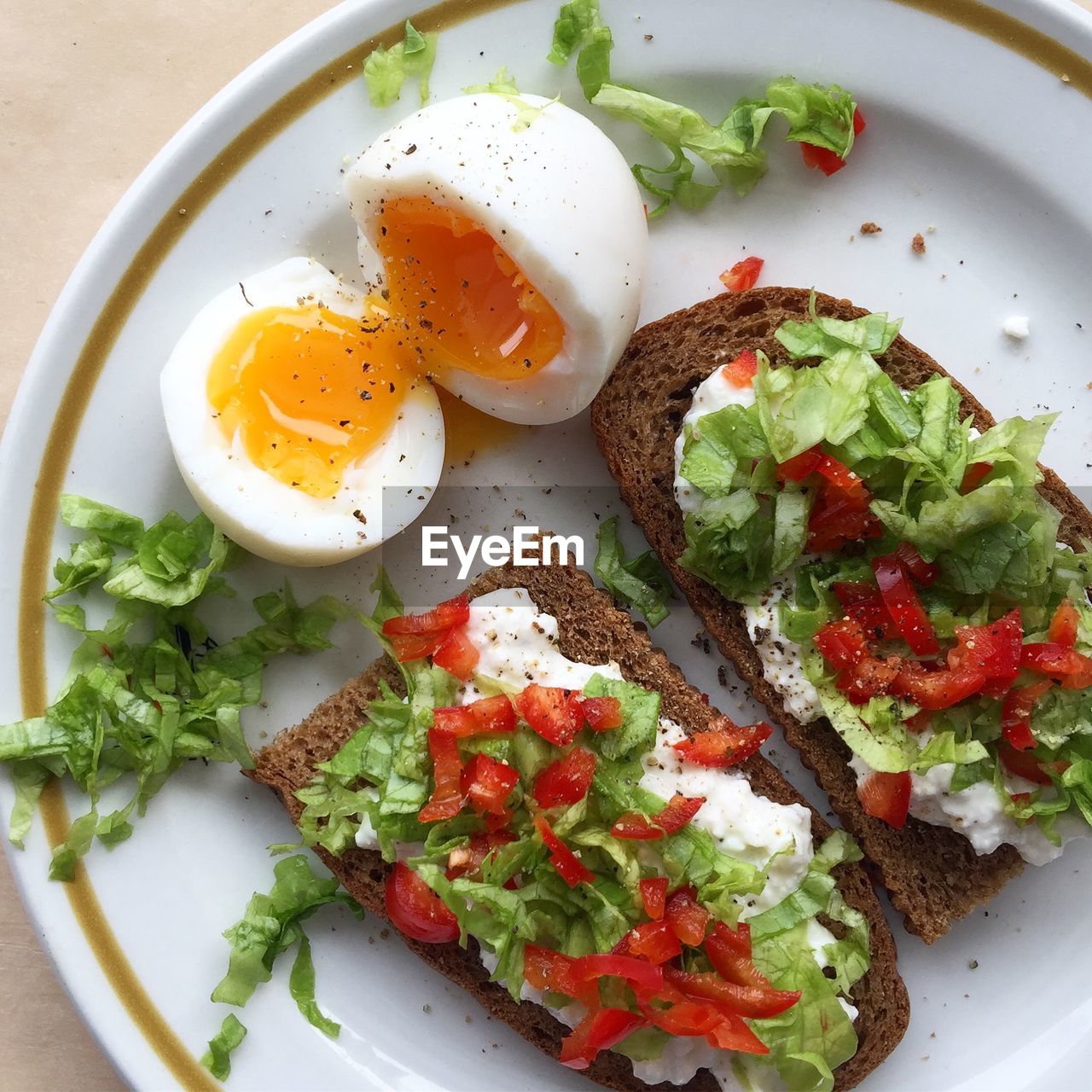 High angle view of toasted breads with cottage cheese and boiled eggs in plate