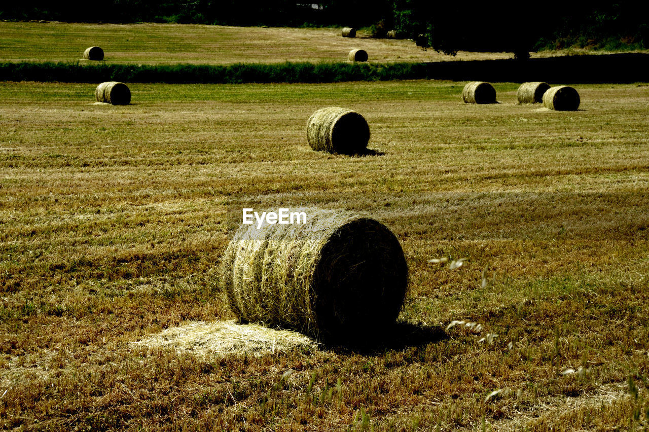 HAY BALES ON FIELD DURING SUNSET