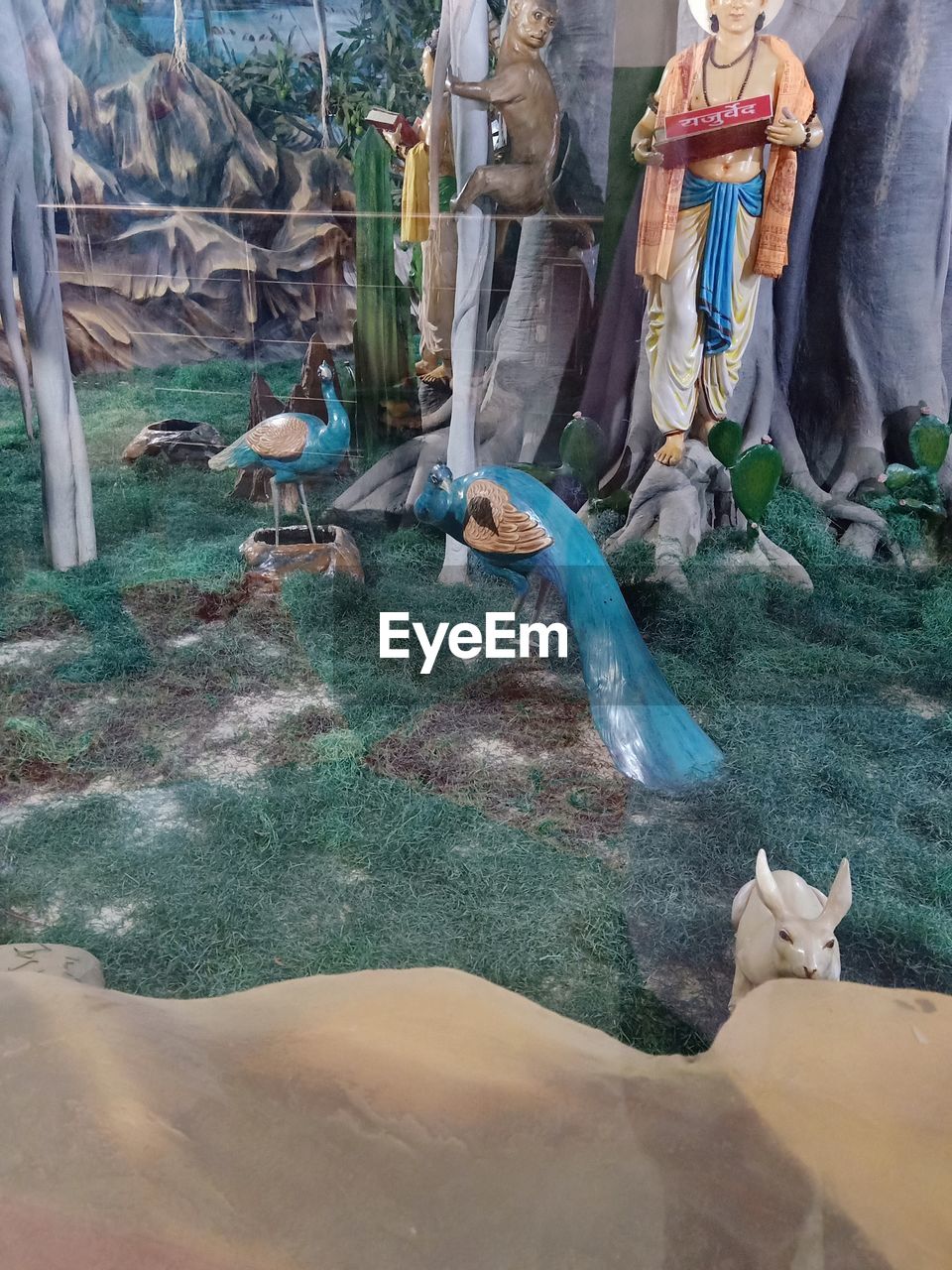 LOW SECTION OF PEOPLE AT FISH