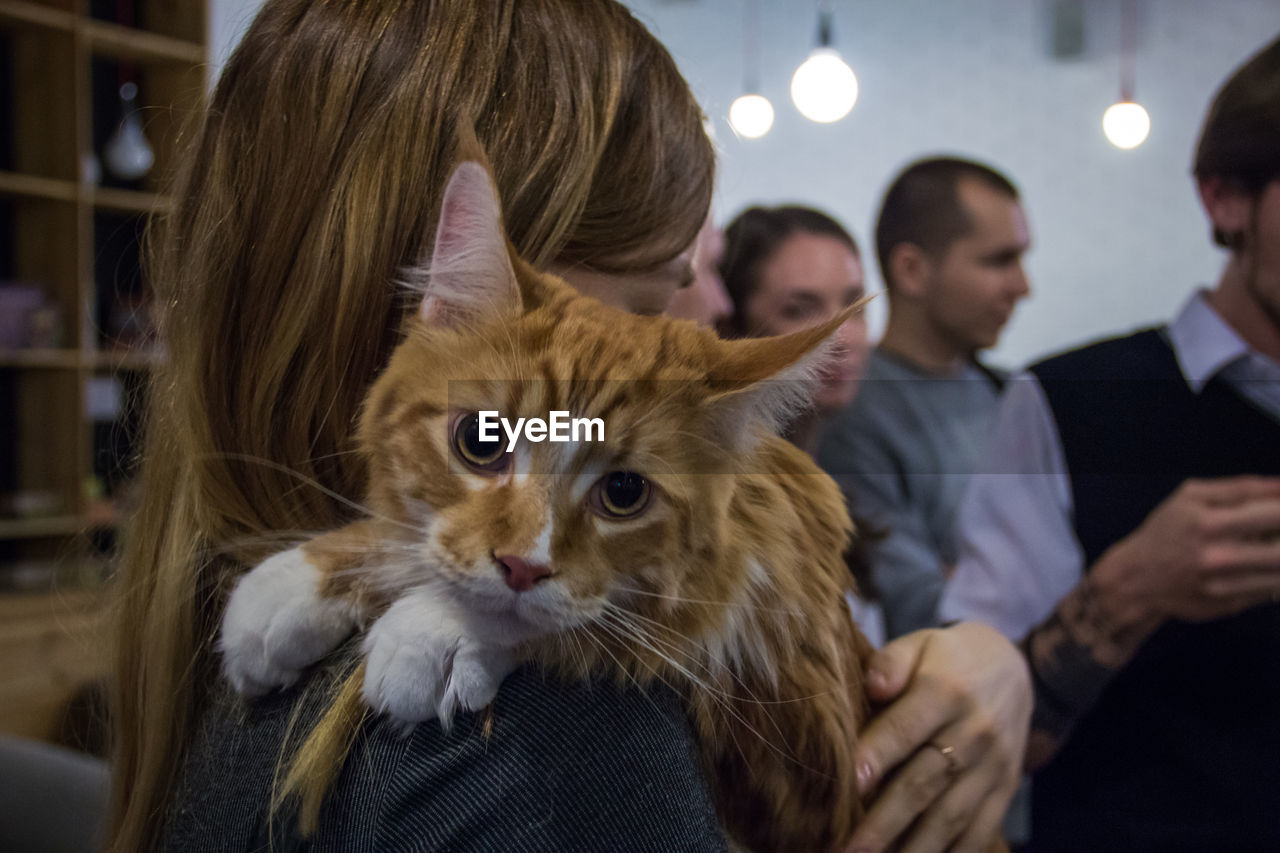 Woman holding cat while standing with friends at home