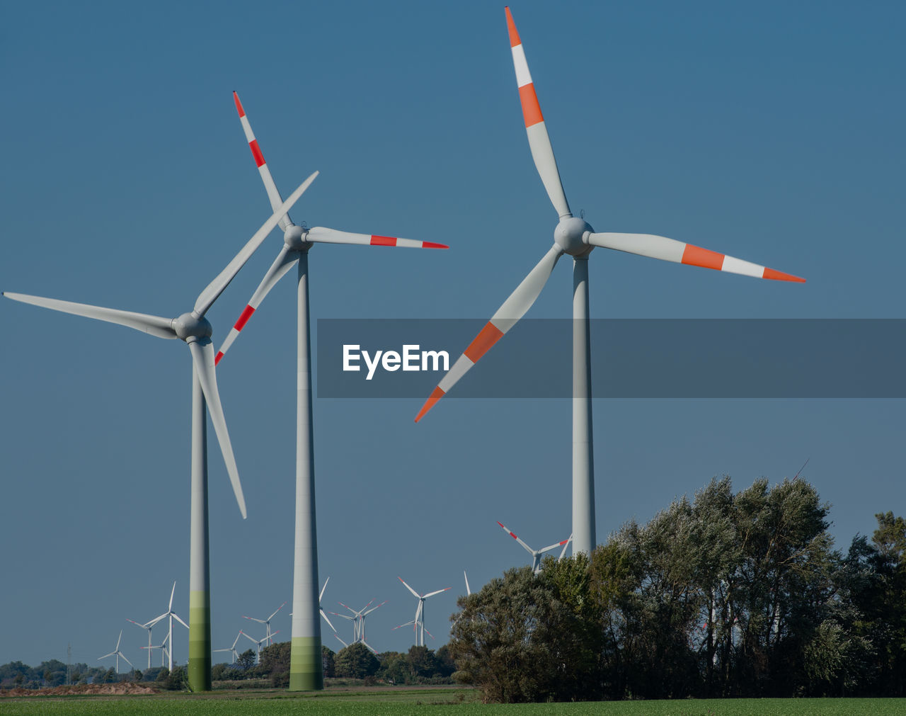 LOW ANGLE VIEW OF WINDMILLS ON FIELD AGAINST CLEAR SKY