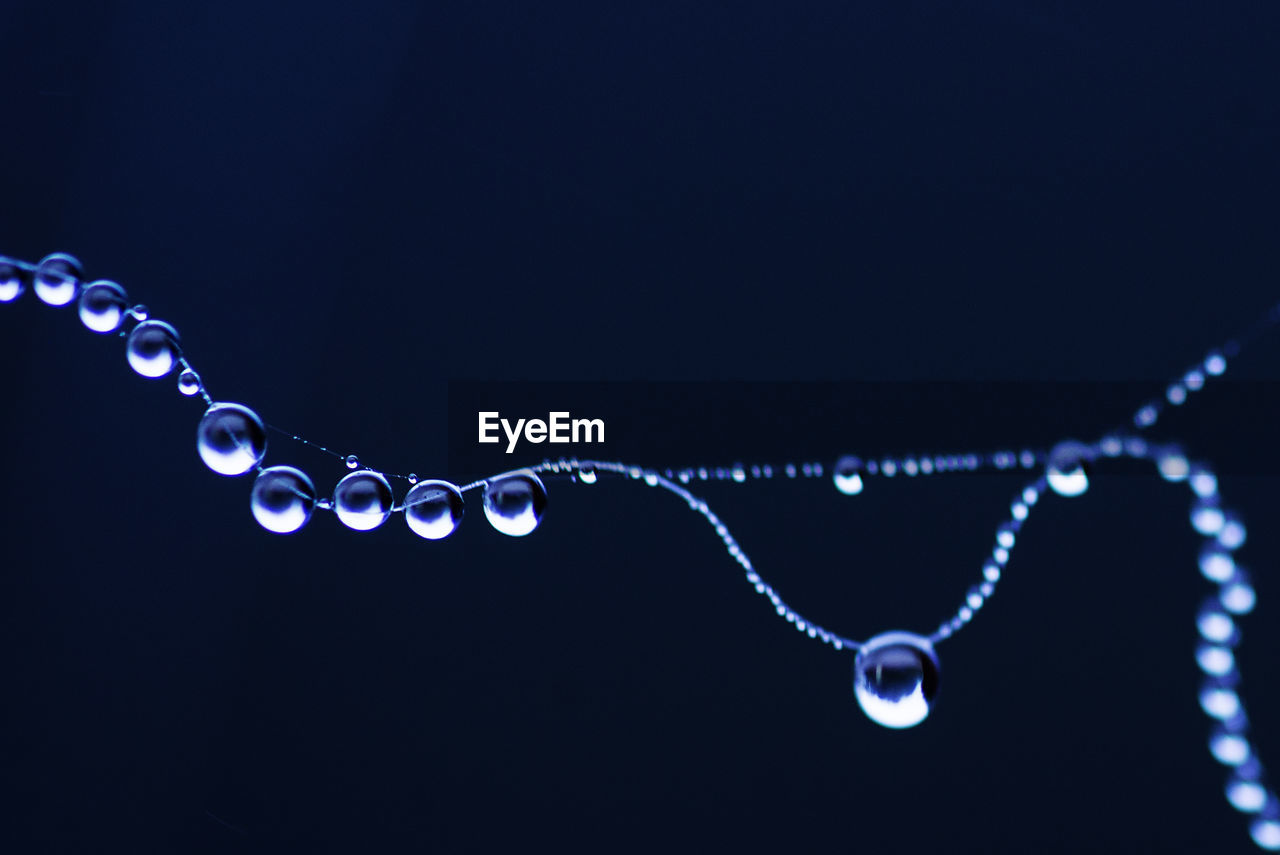 Macro shot of raindrops on spider web