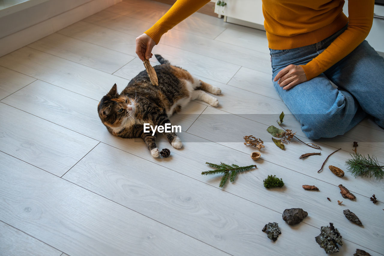 low section of man with cat on floor