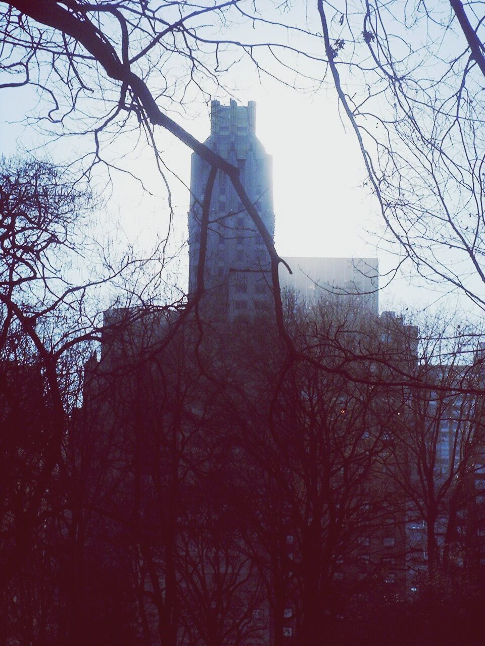 Low angle view of building against sky