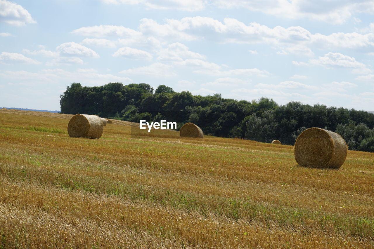 Hay bales on field against sky