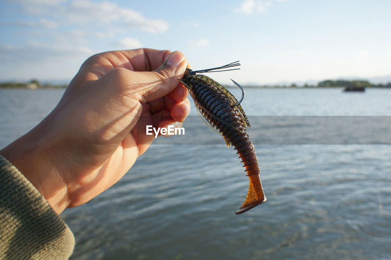 Cropped image of hand holding fishing lure