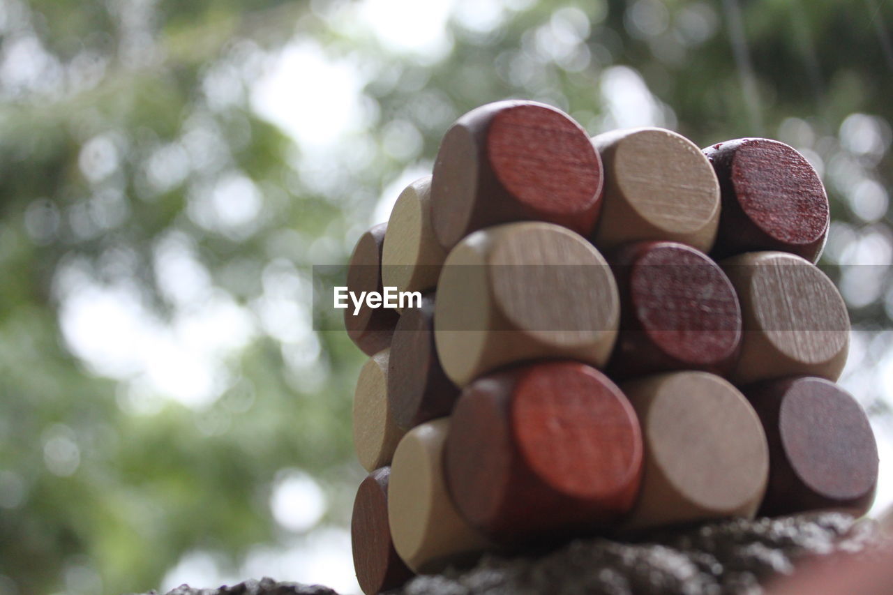 CLOSE-UP OF STACK OF TREES