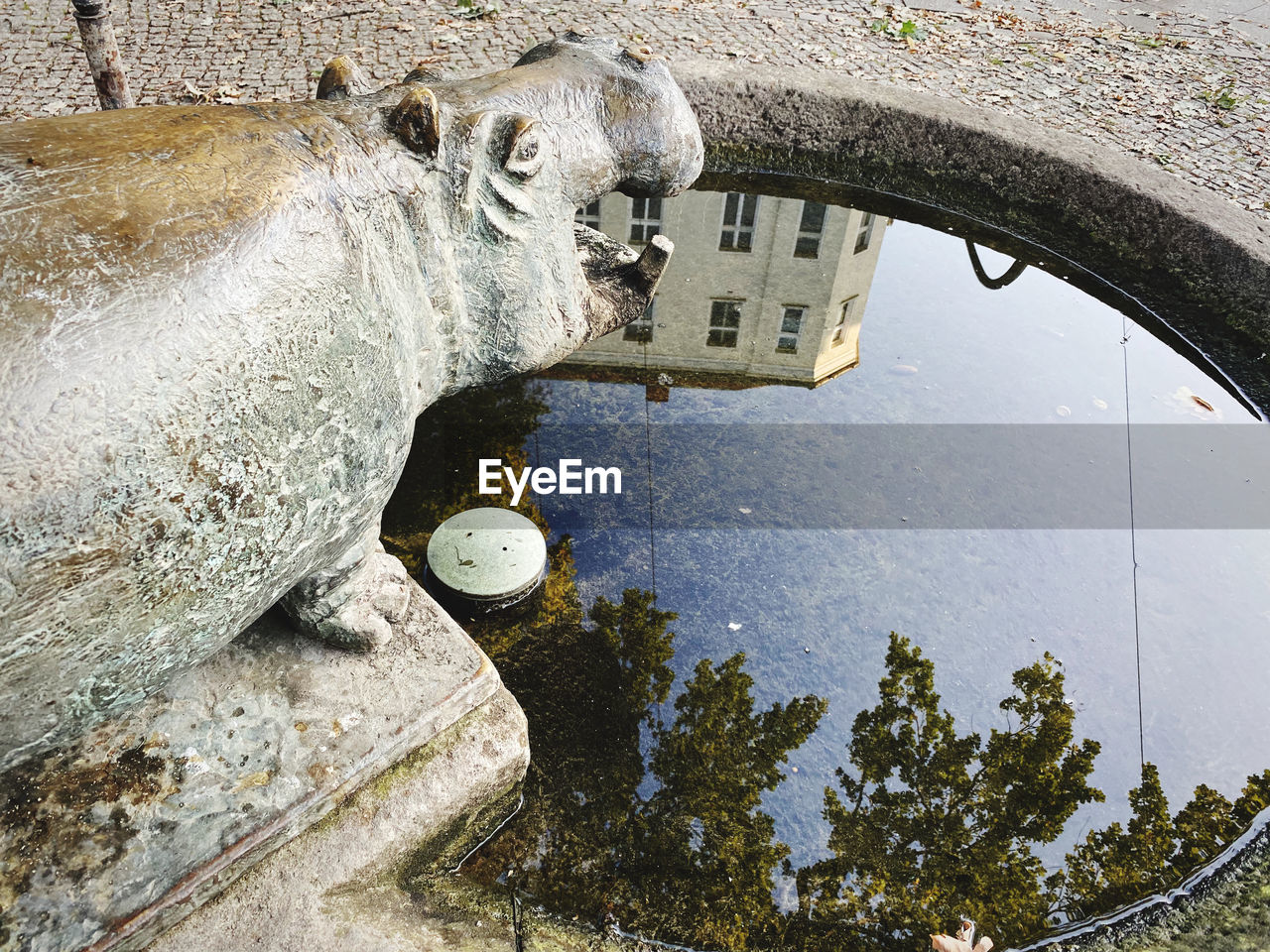 Little fontain with hippo statue reflecting the city