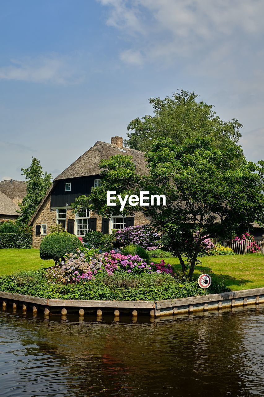 FLOWERING PLANTS BY LAKE AGAINST BUILDING