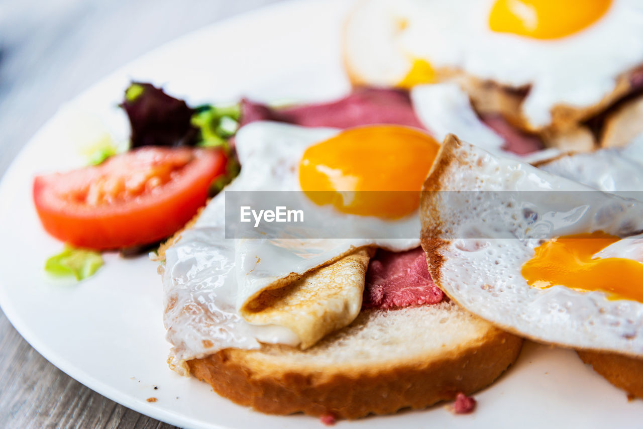 CLOSE-UP OF DESSERT SERVED ON PLATE