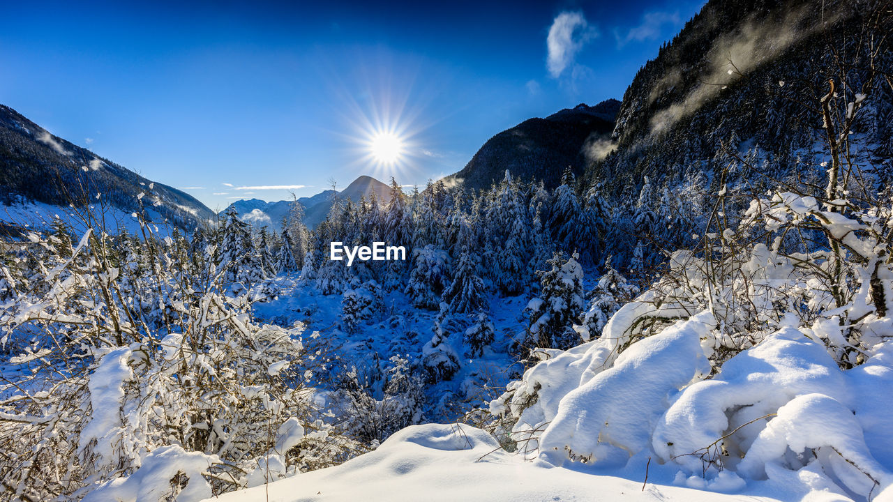 Sun star over frozen valley