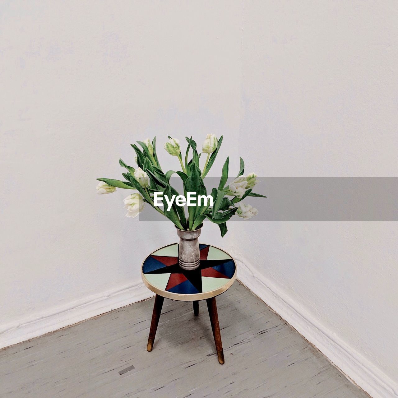 Close-up of potted plant on table at home