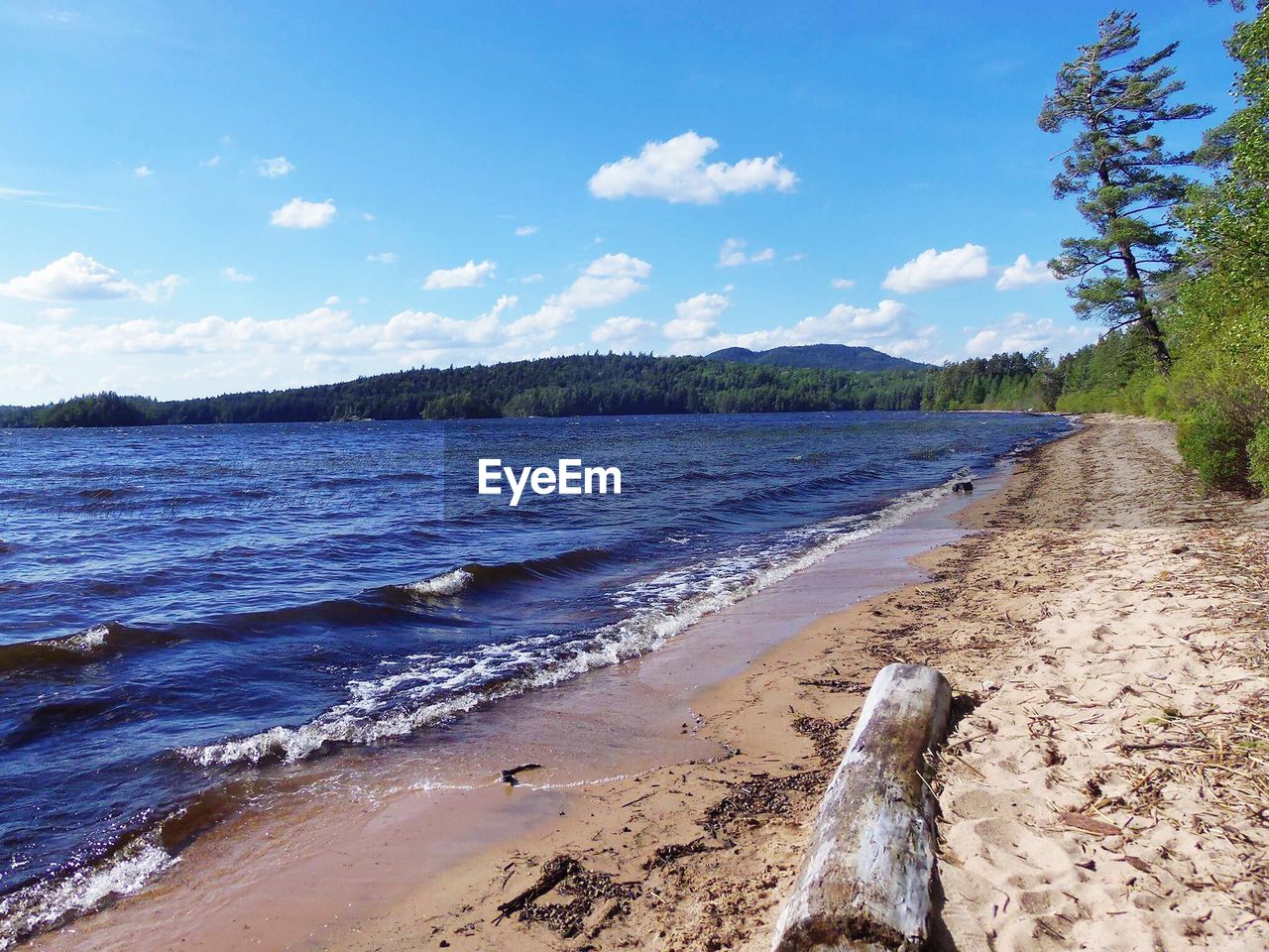 Scenic view of beach against blue sky during sunny day