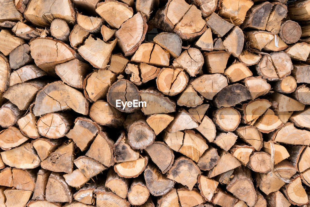 STACK OF LOGS IN FOREST