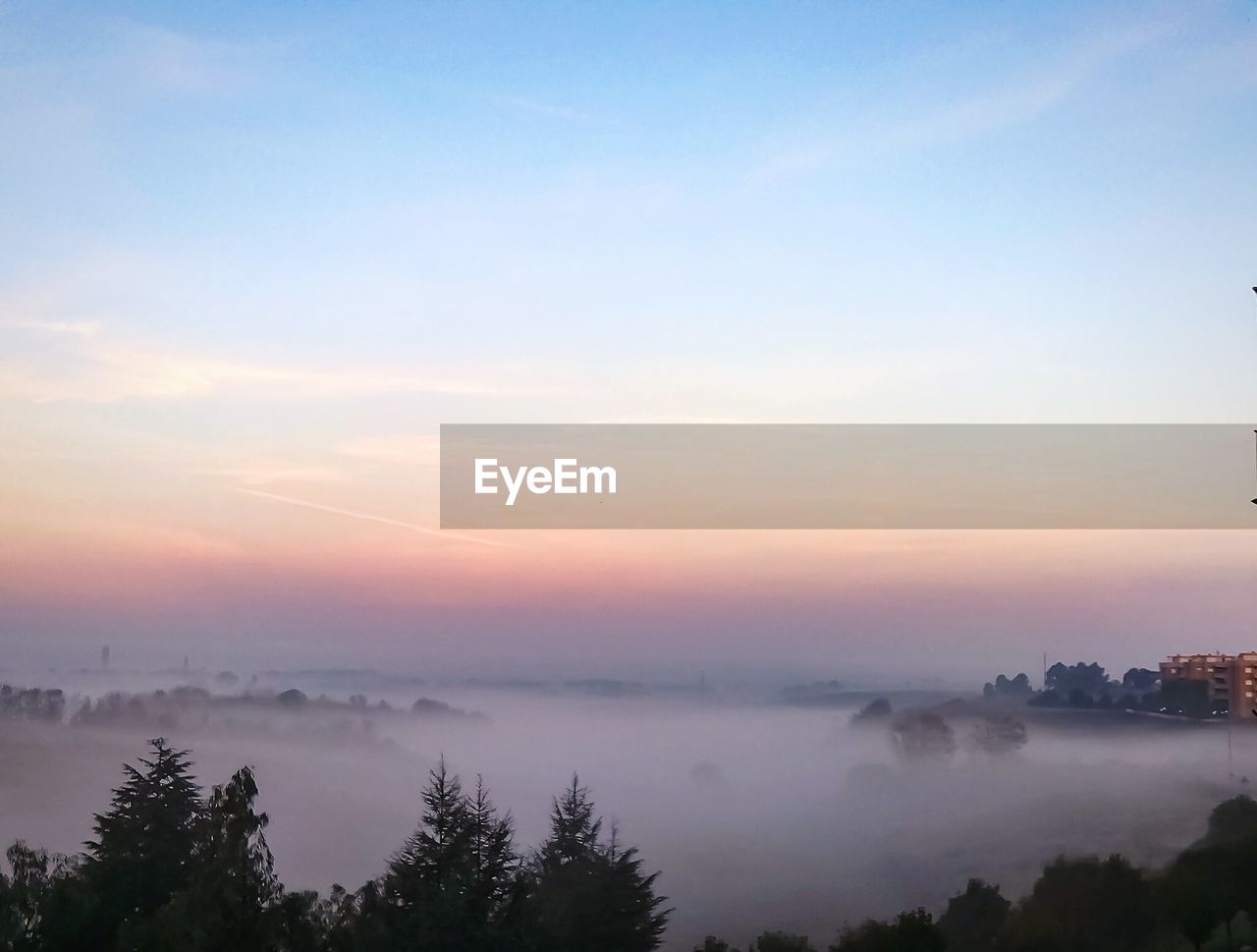 SCENIC VIEW OF TREES AGAINST SKY DURING SUNSET