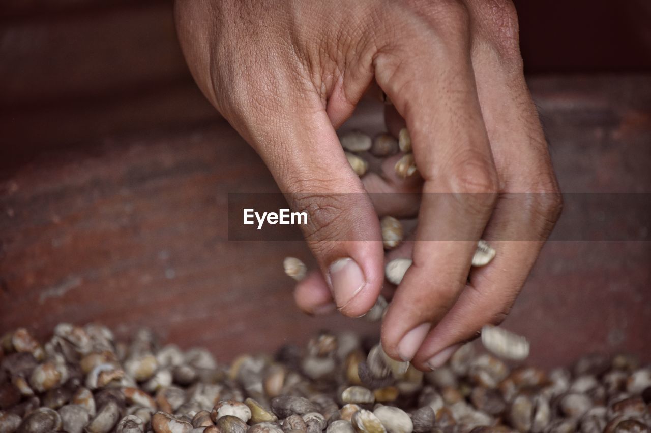 Cropped hand spilling seeds