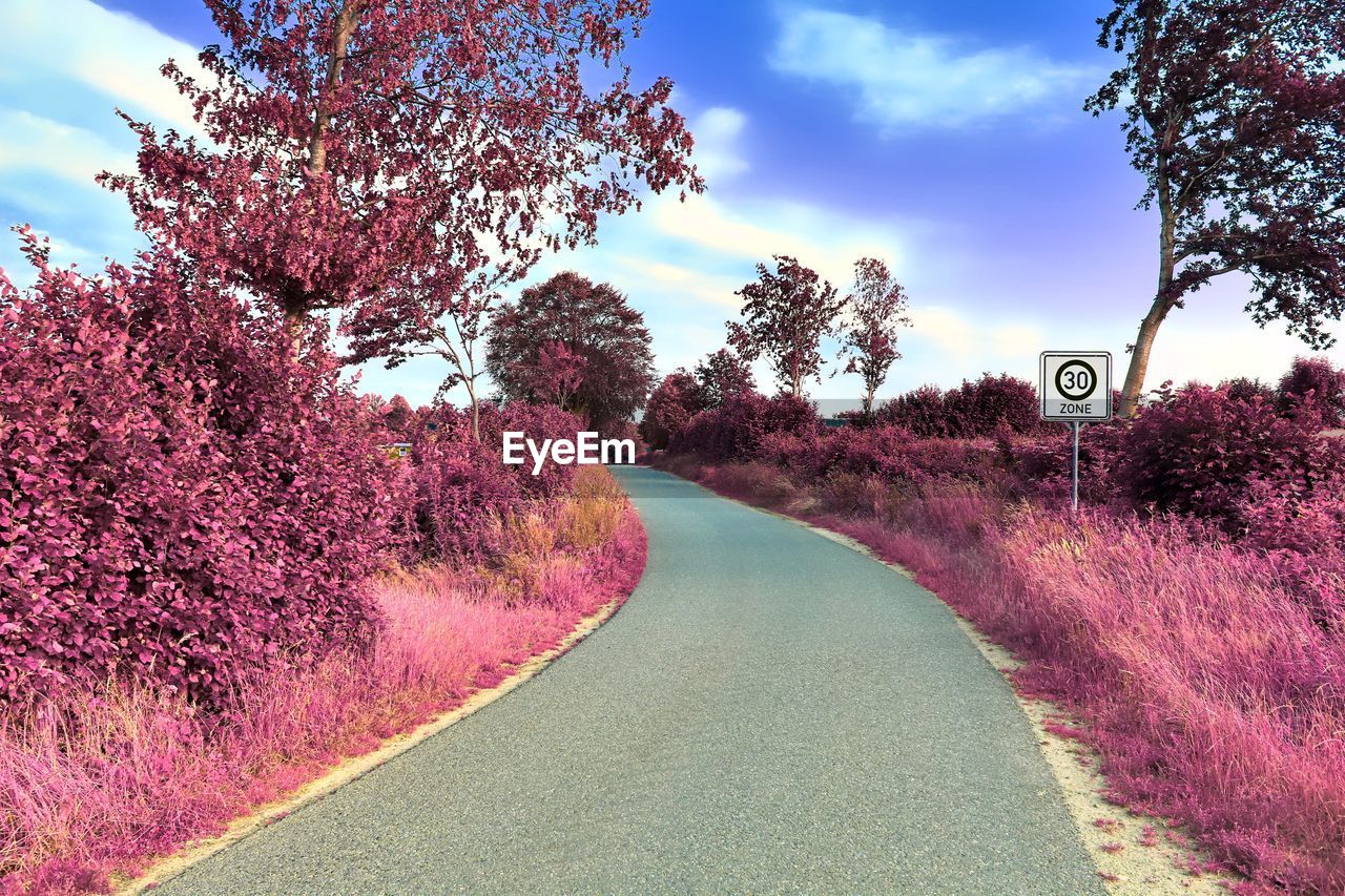 Road amidst trees against sky during autumn