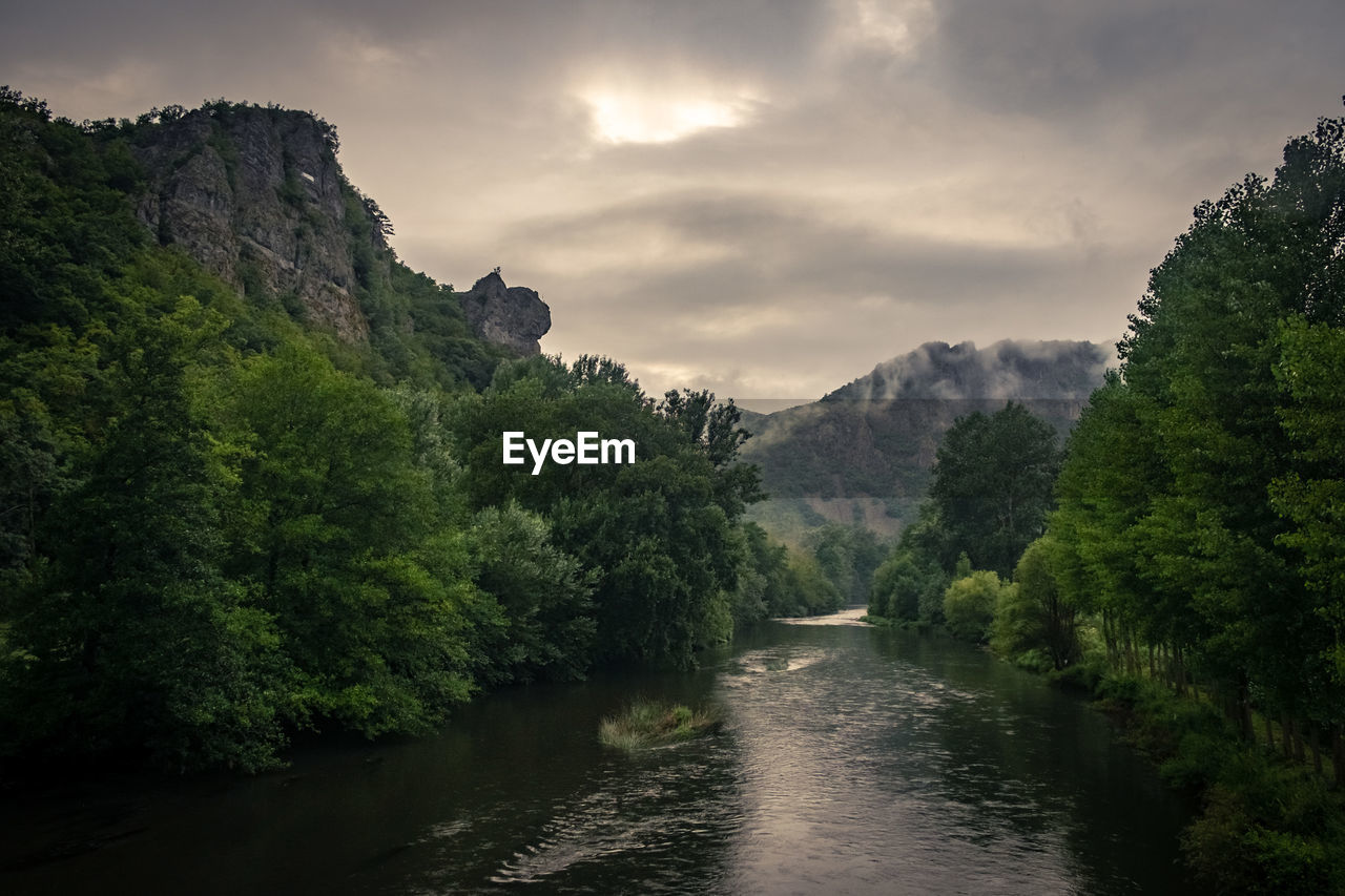 Scenic view of river amidst trees against sky