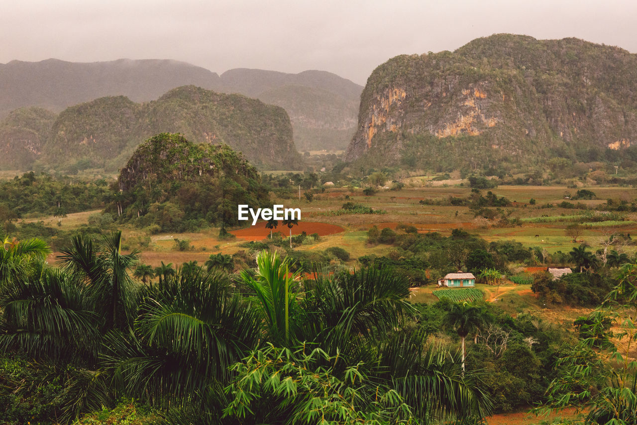 Scenic view of landscape and mountains against sky
