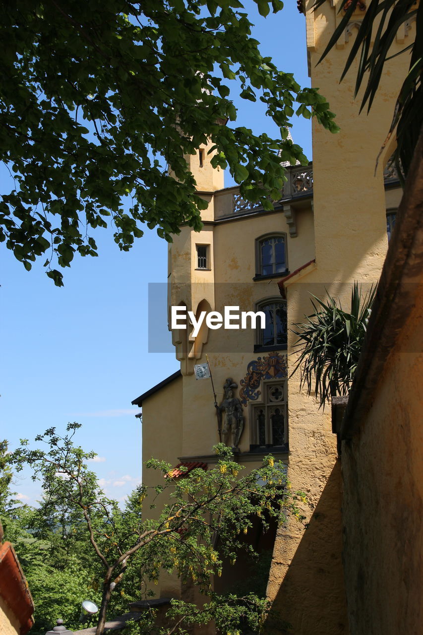 LOW ANGLE VIEW OF TREE AND BUILDINGS AGAINST SKY