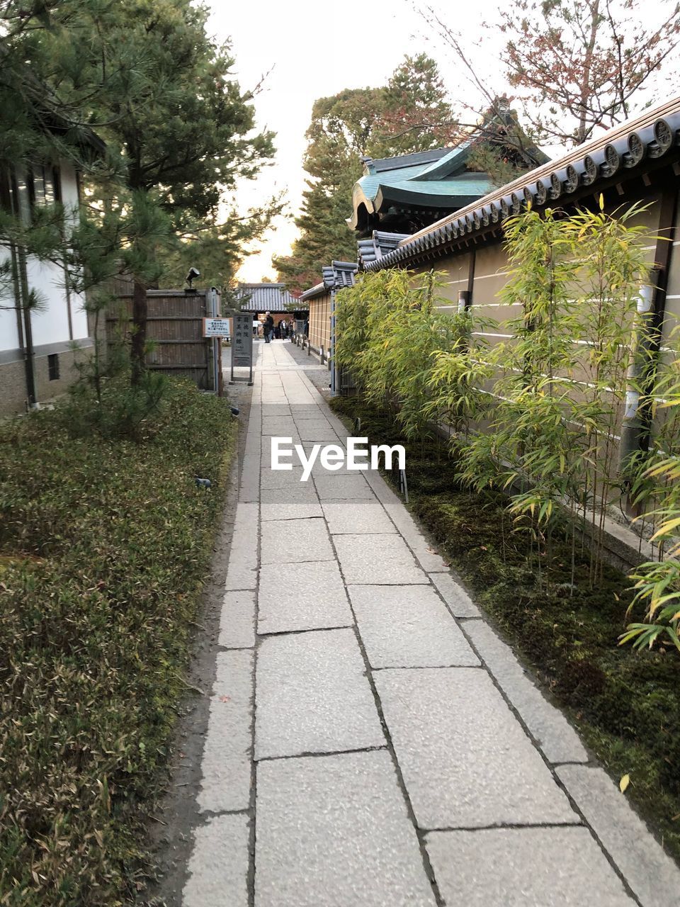 WALKWAY BY TREES