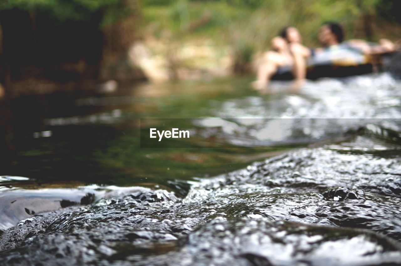 RIVER FLOWING THROUGH TREE