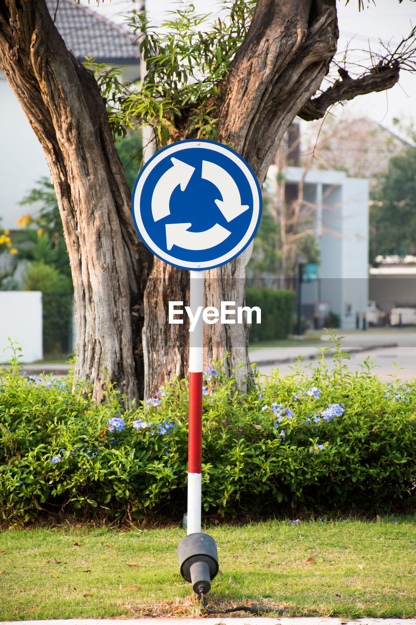 INFORMATION SIGN ON TREE BY ROAD