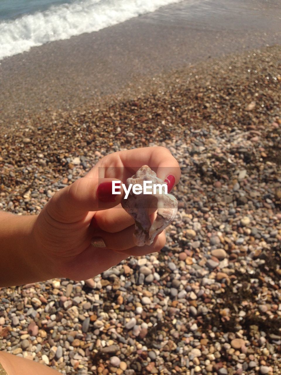 CROPPED IMAGE OF PERSON HOLDING SEASHELL ON BEACH