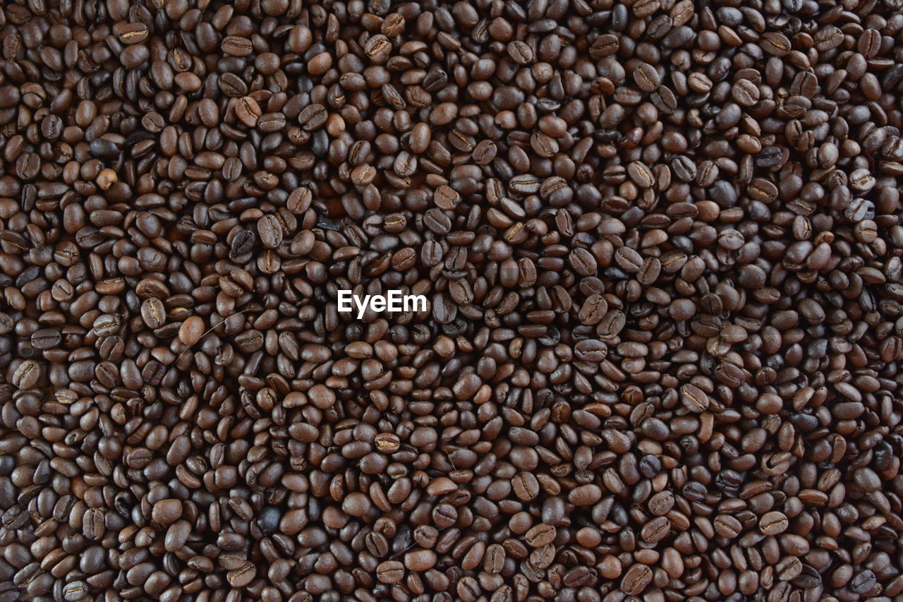 Full frame shot of fresh coffee beans 