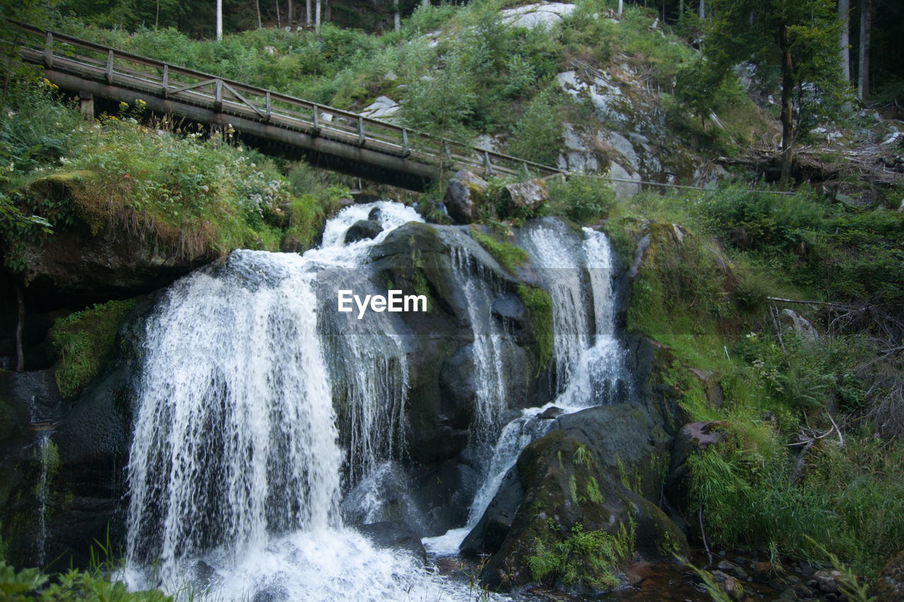 SCENIC VIEW OF WATERFALL