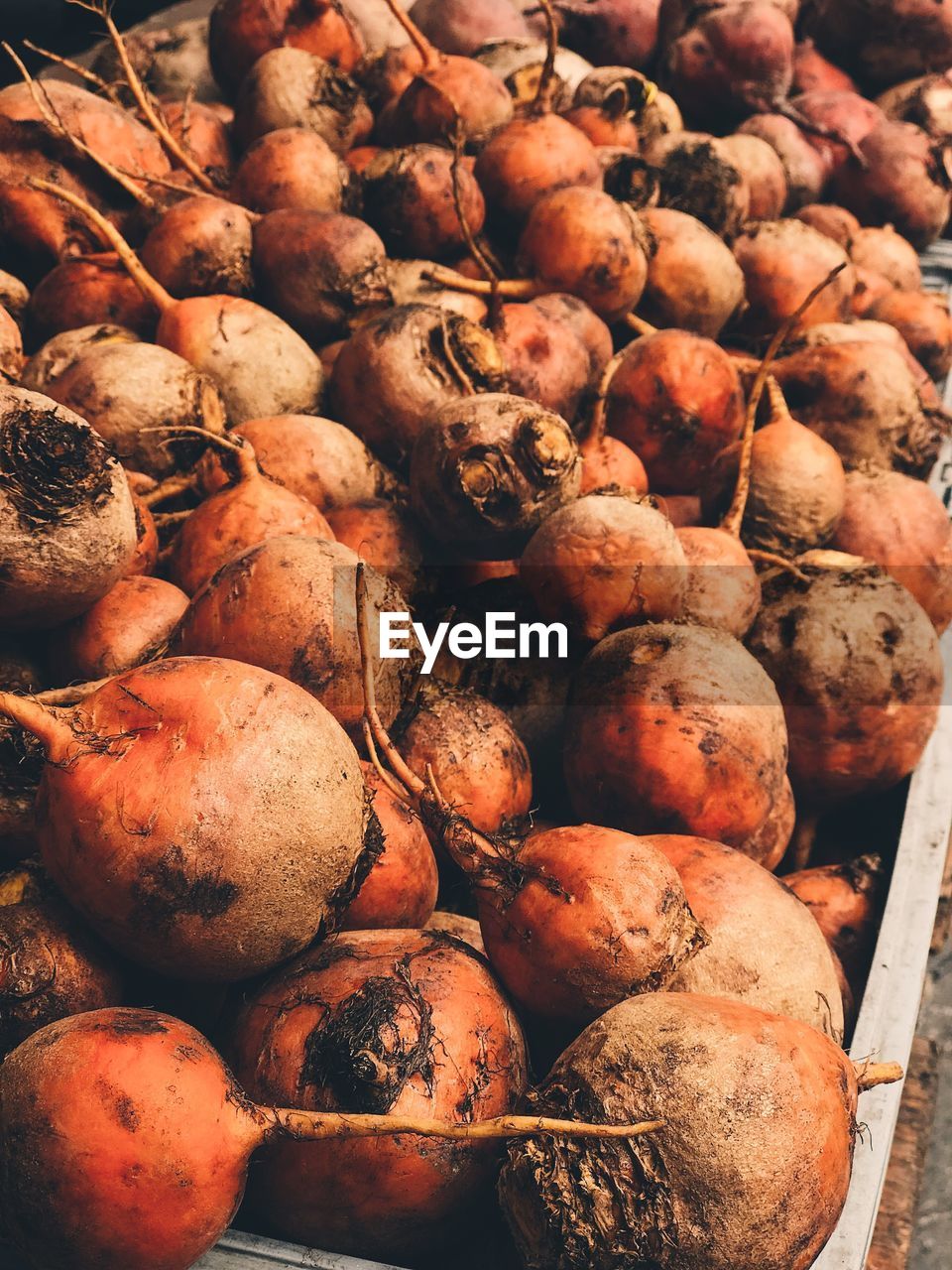 FULL FRAME SHOT OF PUMPKINS FOR SALE AT MARKET