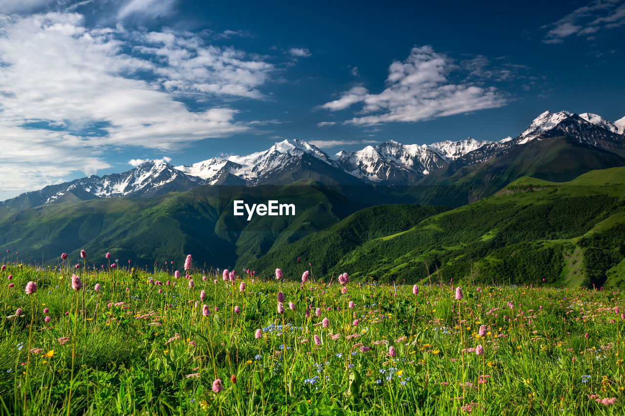 Scenic view of snowcapped mountains against sky