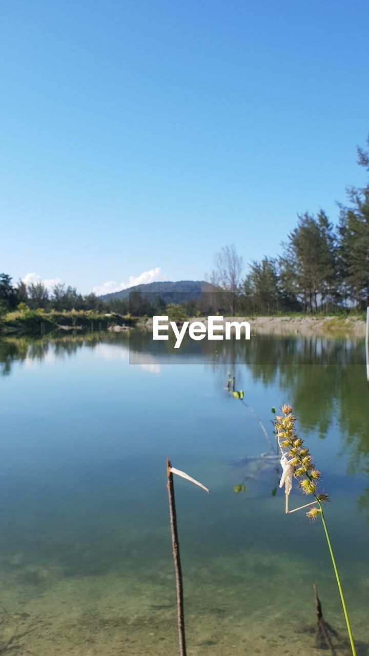 water, lake, reflection, nature, body of water, sky, tranquility, beauty in nature, scenics - nature, tree, plant, tranquil scene, blue, clear sky, no people, day, shore, environment, reservoir, outdoors, non-urban scene, copy space, sunny, landscape