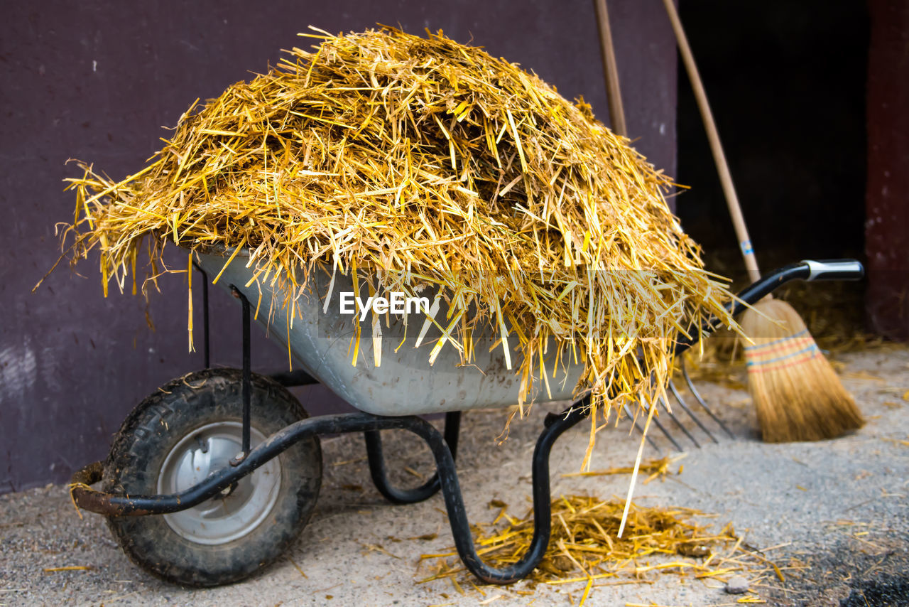 Hay in wheelbarrow against wall