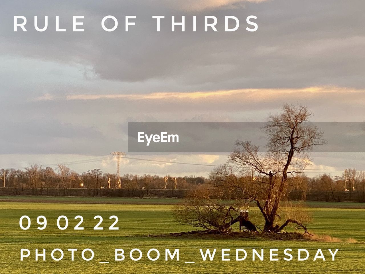 text, plain, plant, morning, communication, tree, sky, western script, nature, cloud, grass, no people, environment, grassland, sign, landscape, prairie, land, field, screenshot