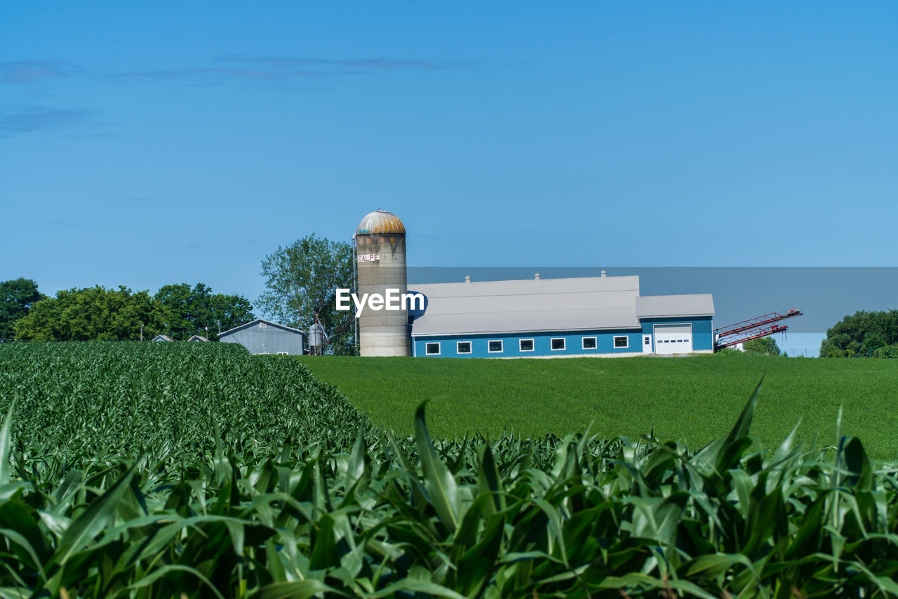 View of agricultural field against clear sky