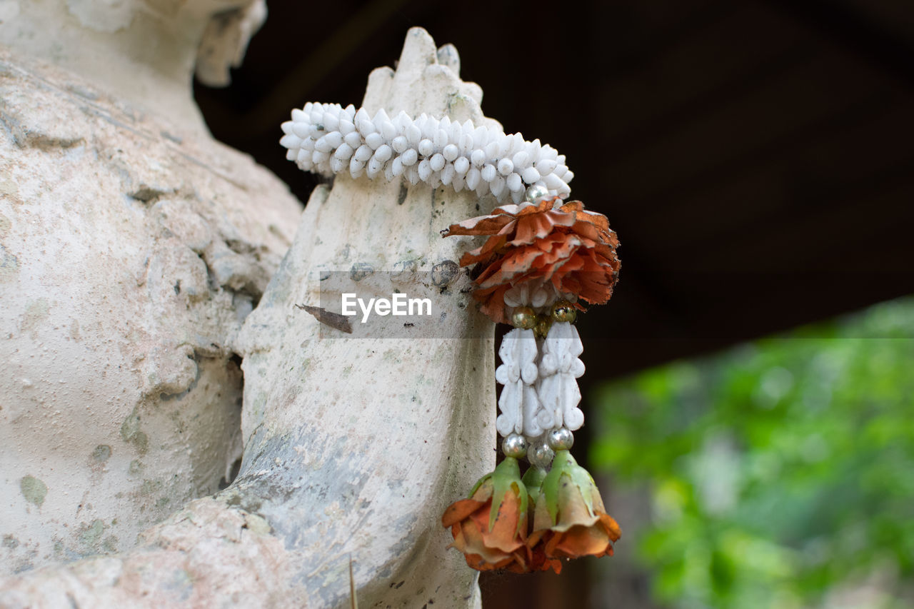 macro photography, flower, close-up, plant, nature, leaf, no people, spring, focus on foreground, beauty in nature, flowering plant, branch, outdoors, tree, day, white, animal, growth