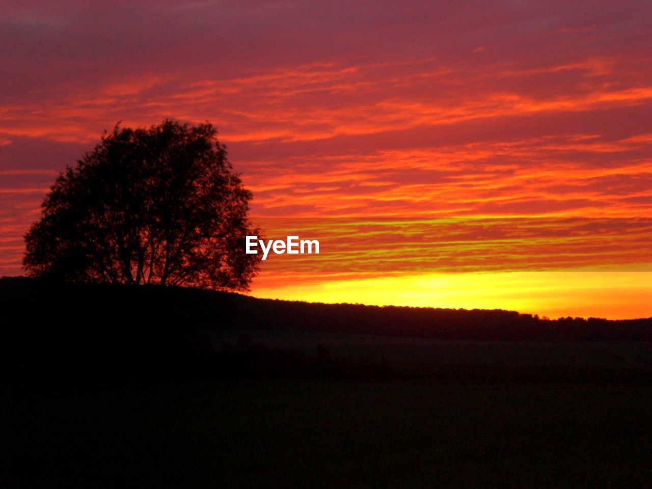 SILHOUETTE TREES ON LANDSCAPE AGAINST SKY DURING SUNSET