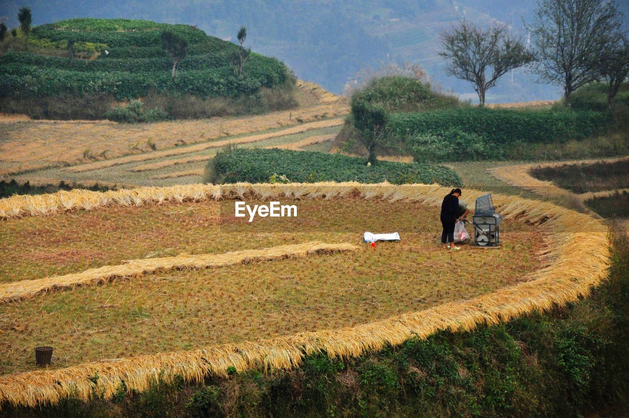 REAR VIEW OF MAN ON FIELD