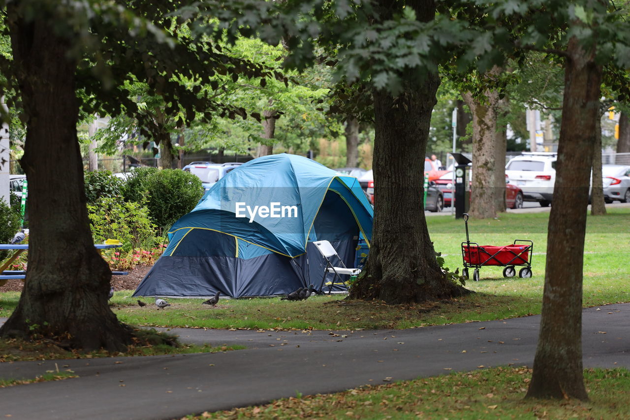 Tent in park, homeless in halifax nova scotia.