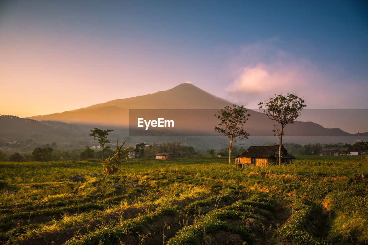 Scenic view of field against sky during sunset