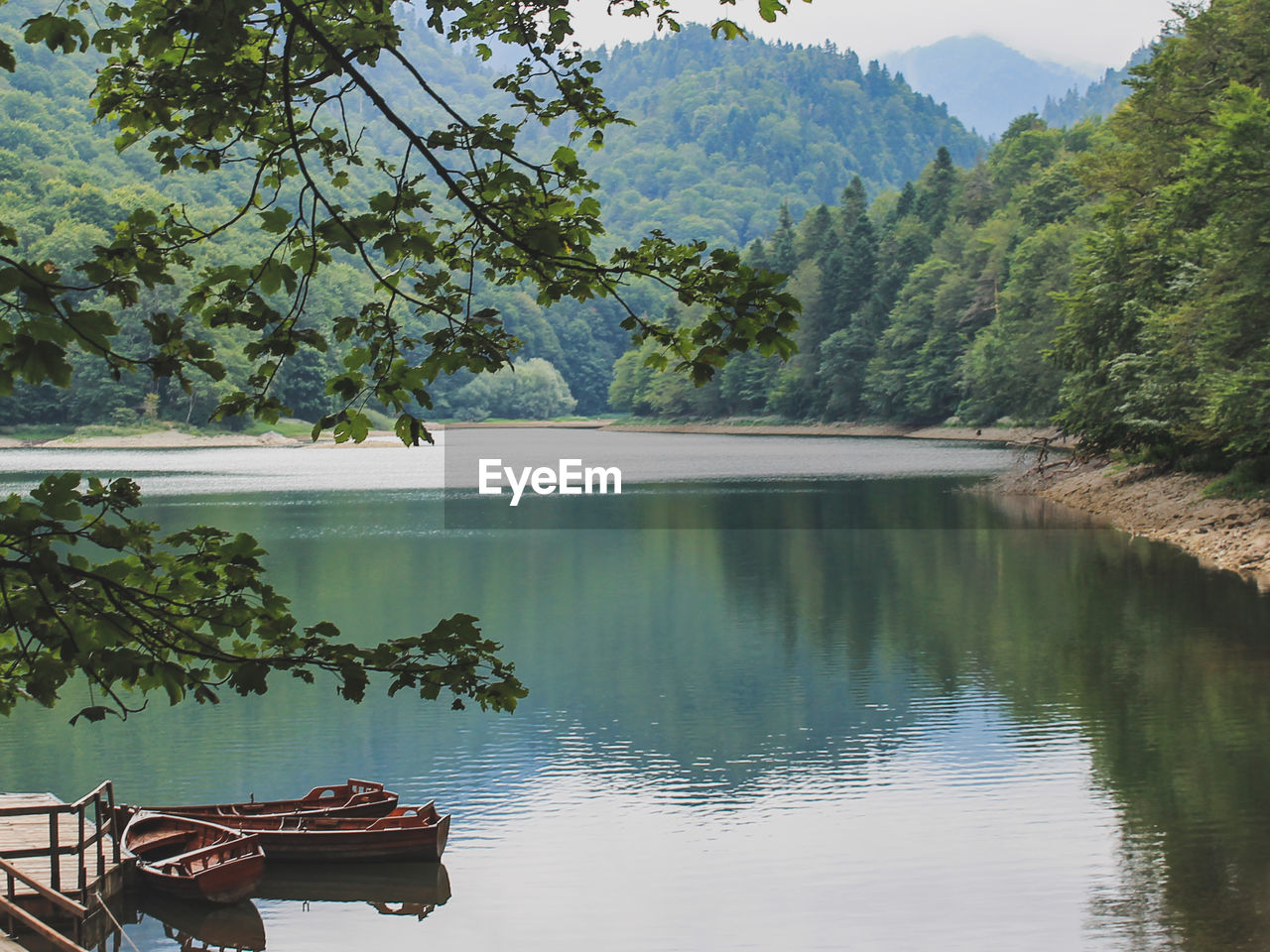 Scenic view of lake by trees against mountain