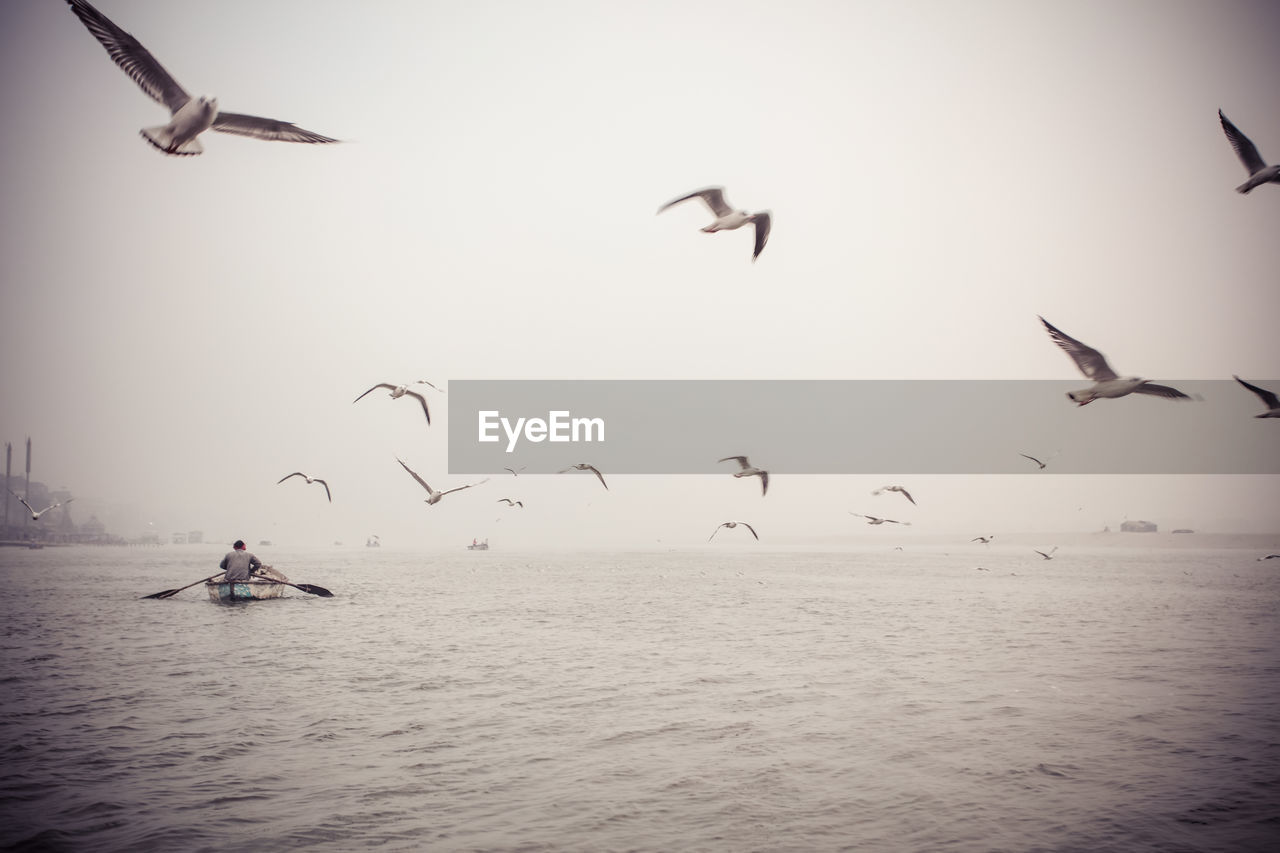 seagulls flying over sea against sky