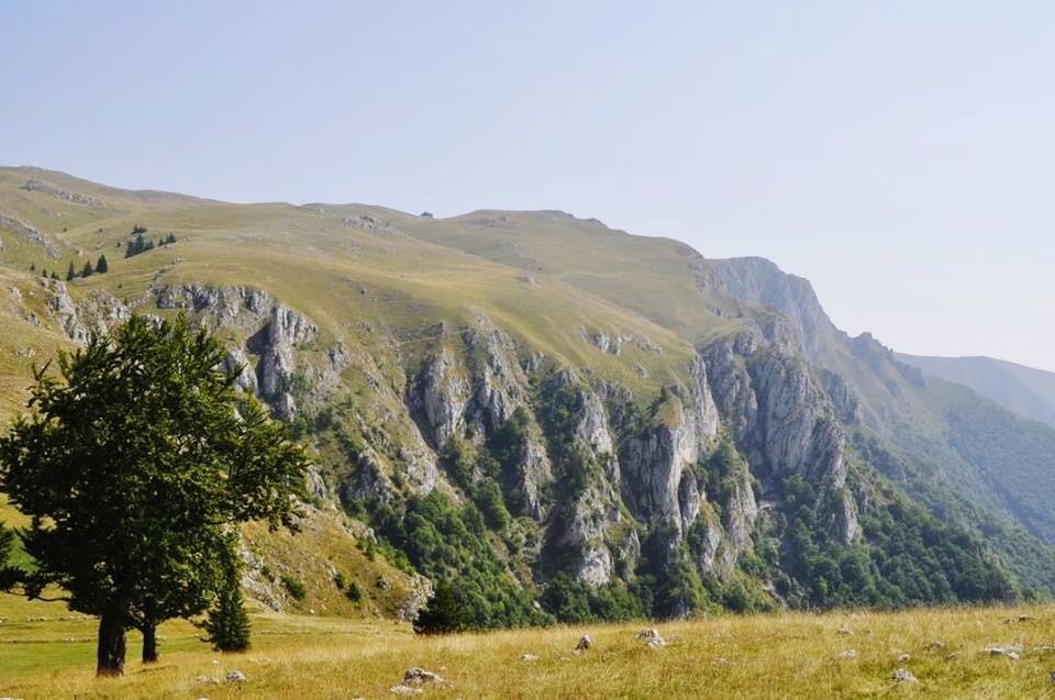 Scenic view of landscape against clear sky