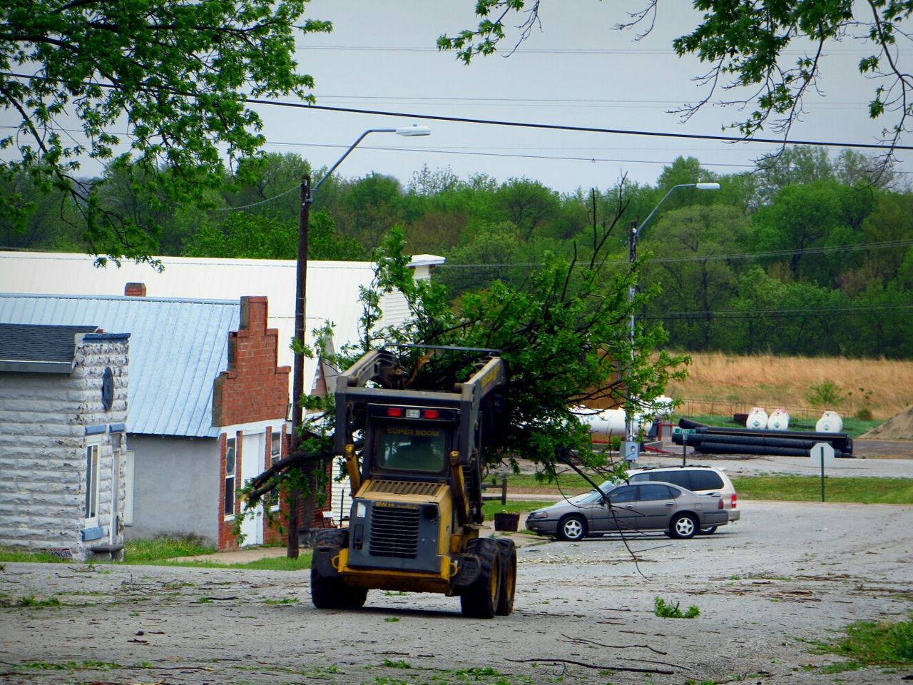 VIEW OF TREES IN THE ROAD