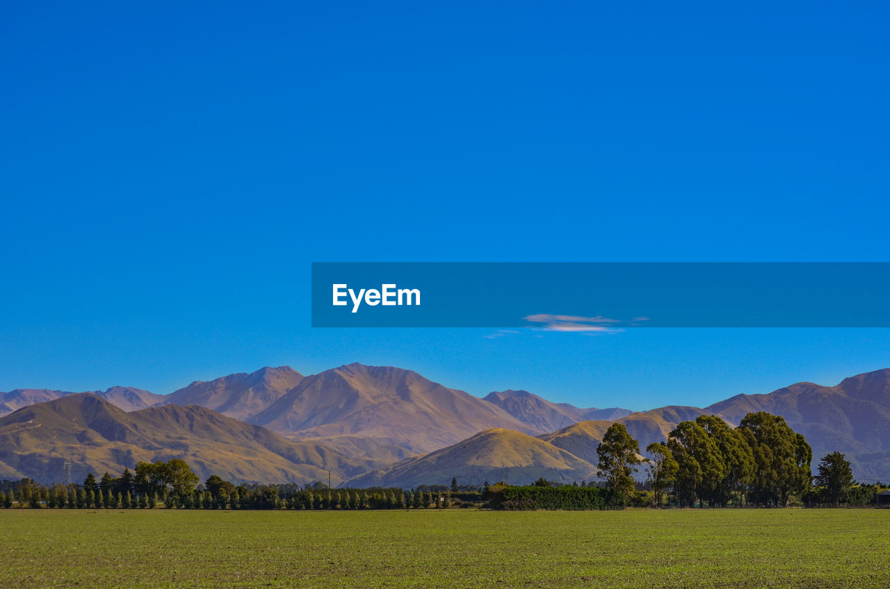 Scenic view of field against clear blue sky